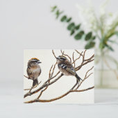 黄金の冠を持つキングレット(男性と女性) ポストカード (スタンド正面)