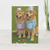 黄金の卵をため込むイースター シーズンカード (正面)