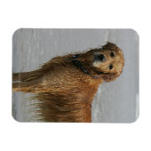 黄金の回想 マグネット (横)