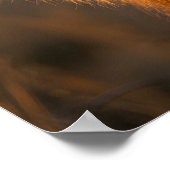 黄金の国王陛下 ポスター (角)