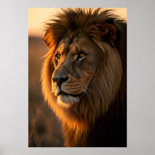 黄金の国王陛下 ポスター (正面)