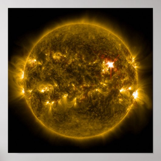 黄金の太陽 ポスター (正面)