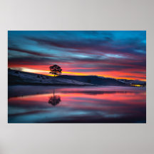 黄金の時は木が体に映る