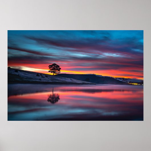 黄金の時は木が体に映る ポスター (正面)