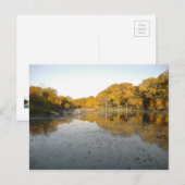 黄金の木と池…My Autumn 2004の写真 ポストカード (正面/裏面)