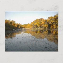 黄金の木と池…My Autumn 2004の写真 ポストカード