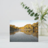 黄金の木と池…My Autumn 2004の写真 ポストカード (スタンド正面)