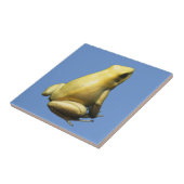 黄金の毒カエル タイル (側面)