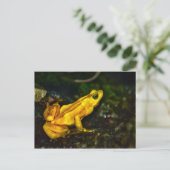 黄金の毒カエル ポストカード (スタンド正面)