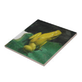 黄金の毒ダーツカエル/Phyllobatesテリービリス タイル (側面)