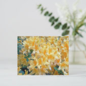 黄金の水切り黄色いツツジの花 ポストカード (スタンド正面)