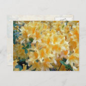 黄金の水切り黄色いツツジの花 ポストカード (正面/裏面)