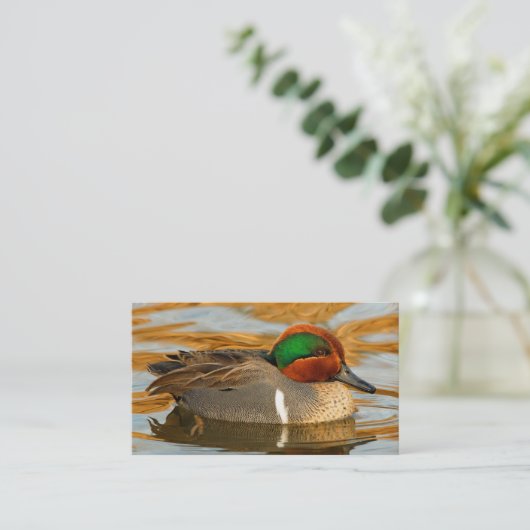 黄金の池に美しい緑の翼のティール（緑がかった色）のアヒル 名刺 (スタンド正面)