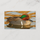 黄金の池に美しい緑の翼のティール（緑がかった色）のアヒル 名刺 (正面)