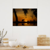 黄金の池の鳥の美しい馬 ポスター (キッチン)