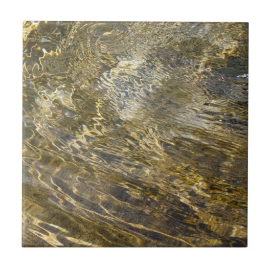 黄金の泉の水 タイル (正面)