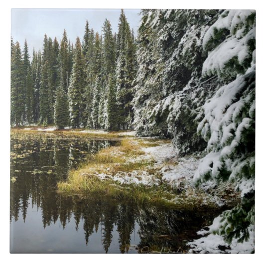黄金の海で最初の雪 タイル (正面)