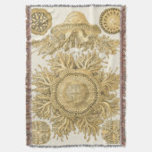 黄金の海の生物 スローブランケット (正面縦)