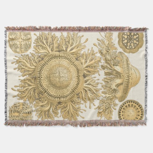 黄金の海の生物 スローブランケット (正面)