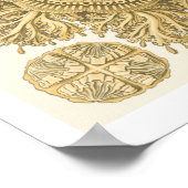 黄金の海の生物 ポスター (角)