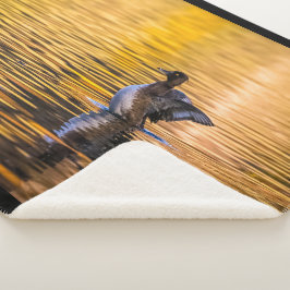 黄金の湖の黄金の目 シェルパブランケット