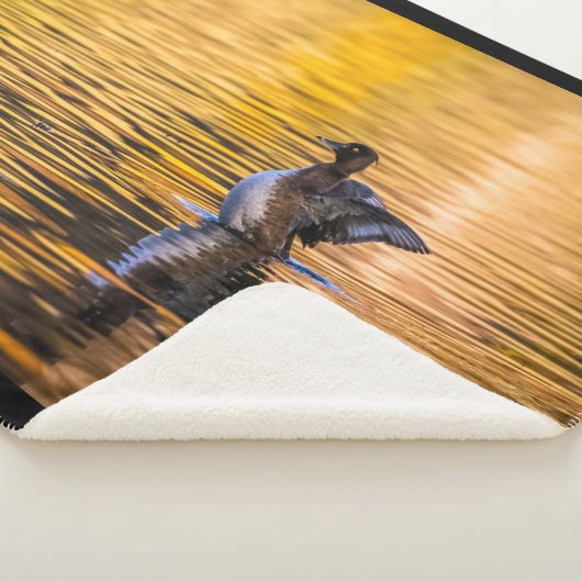 黄金の湖の黄金の目 シェルパブランケット (3/4)