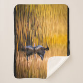 黄金の湖の黄金の目 シェルパブランケット (正面)