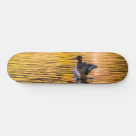 黄金の湖の黄金の目 スケートボード
