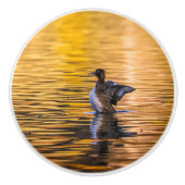 黄金の湖の黄金の目 セラミックノブ (正面)