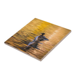 黄金の湖の黄金の目 タイル