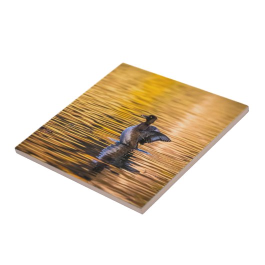 黄金の湖の黄金の目 タイル (側面)