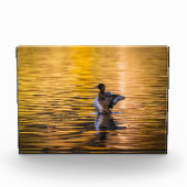 黄金の湖の黄金の目 フォトブロック (正面)