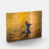 黄金の湖の黄金の目 フォトブロック (左)