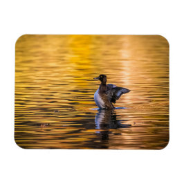 黄金の湖の黄金の目 マグネット