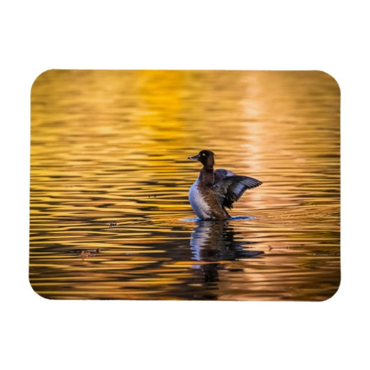 黄金の湖の黄金の目 マグネット (横)