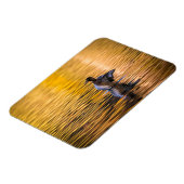 黄金の湖の黄金の目 マグネット (左側)