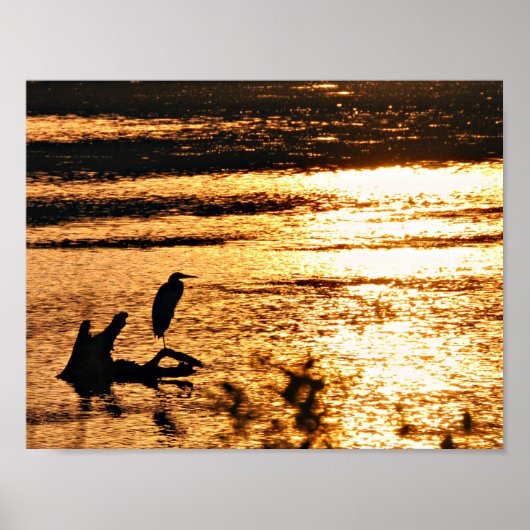 黄金の湖 ポスター (正面)