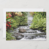 黄金の滝 (正面)