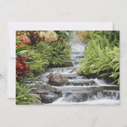 黄金の滝 (正面)