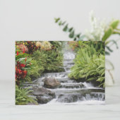 黄金の滝 (スタンド正面)