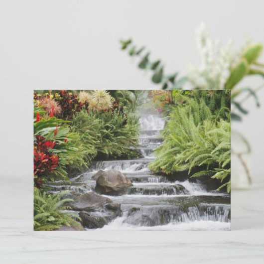 黄金の滝 (スタンド正面)