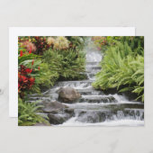 黄金の滝 (正面/裏面)