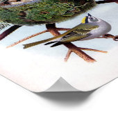 黄金の王冠のキングレット ポスター (角)