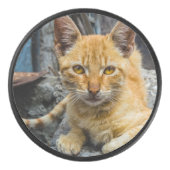 黄金の目 アイスホッケーパック (正面)