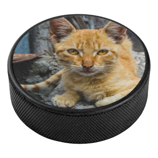 黄金の目 アイスホッケーパック (3/4)