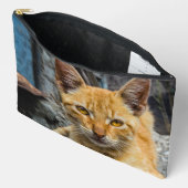 黄金の目 アクセサリーポーチ (見開き)