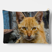 黄金の目 アクセサリーポーチ (裏面)