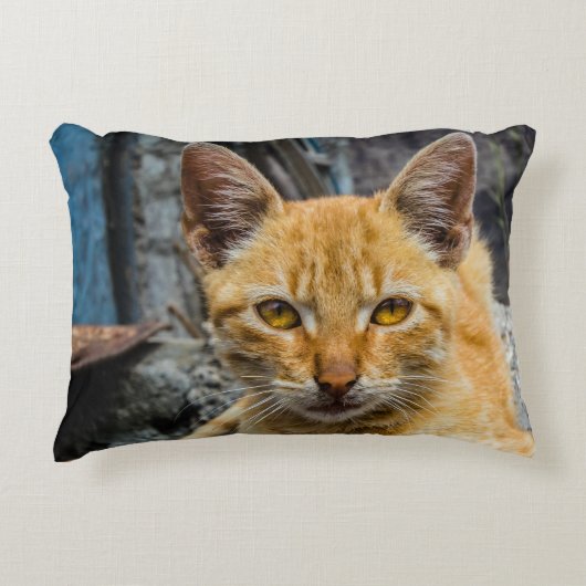 黄金の目 アクセントクッション (正面)