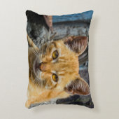 黄金の目 アクセントクッション (正面(垂直))