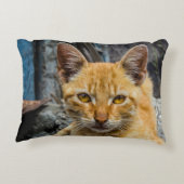 黄金の目 アクセントクッション (裏面)